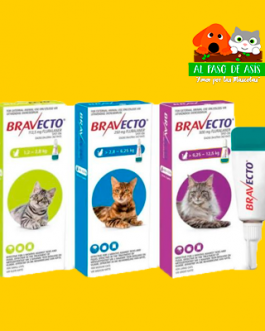 BRAVECTO GATO VARIEDADES