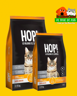 HOP GATO VARIEDADES