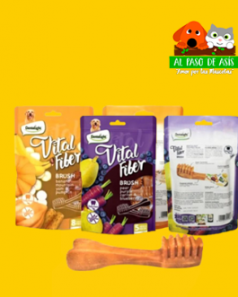 SNACK VITAL FIBER BRUSH VARIEDADES