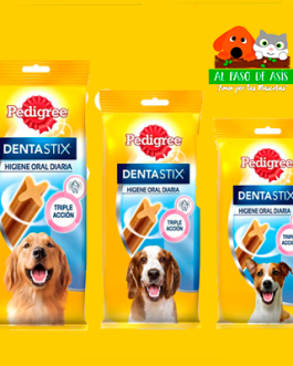 DENTASTIX VARIEDADES