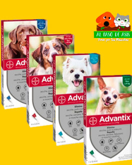 PIPETA ADVANTIX PERRO VARIEDADES