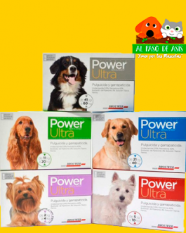 PIPETA POWER ULTRA PERRO VARIEDADES