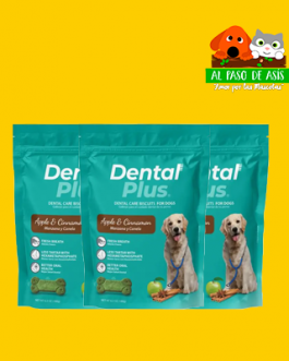 DENTAL PLUS VARIEDADES